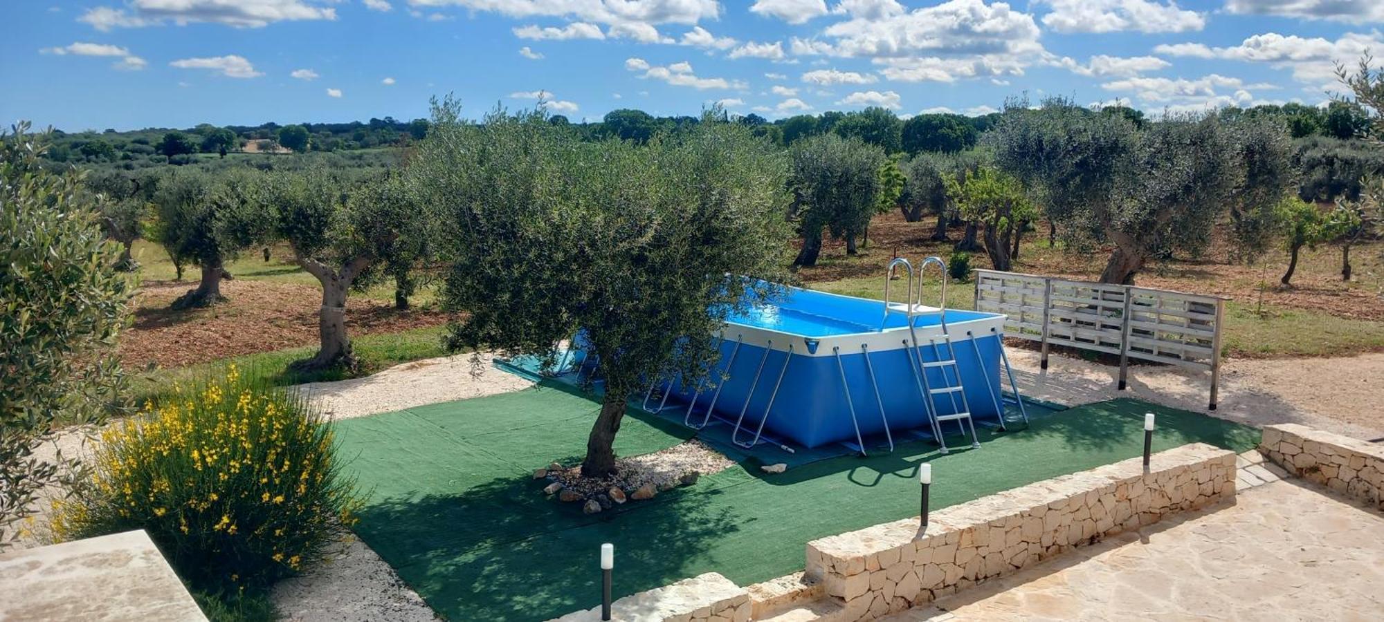 דירות אלברובלו Trullo Dell' Edera Con Piscina Privata מראה חיצוני תמונה